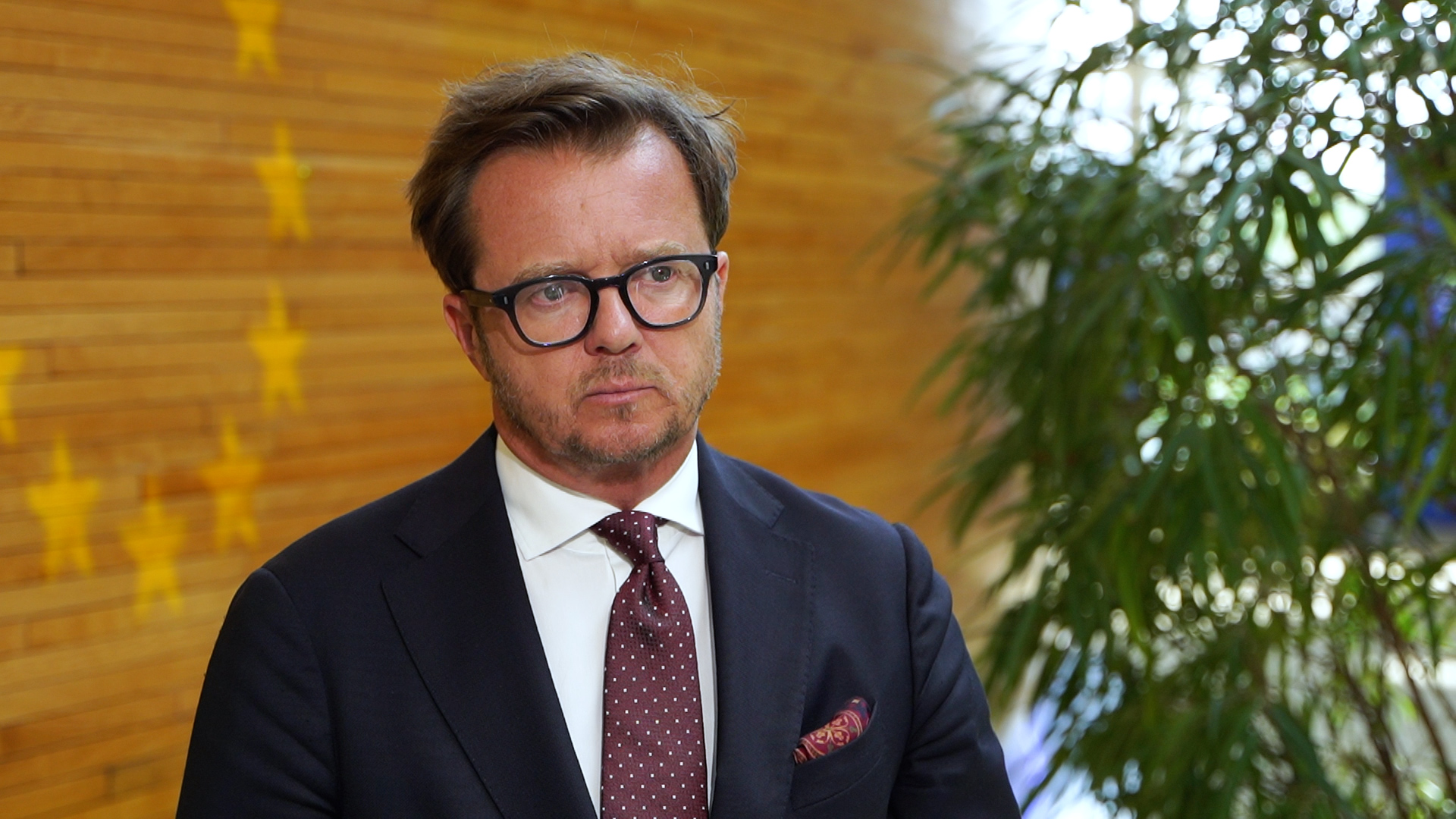 A fresh  European Commission study  shows any  improvement in the regulation  of law in the EU. Parliament wants stronger instruments to defend  it.