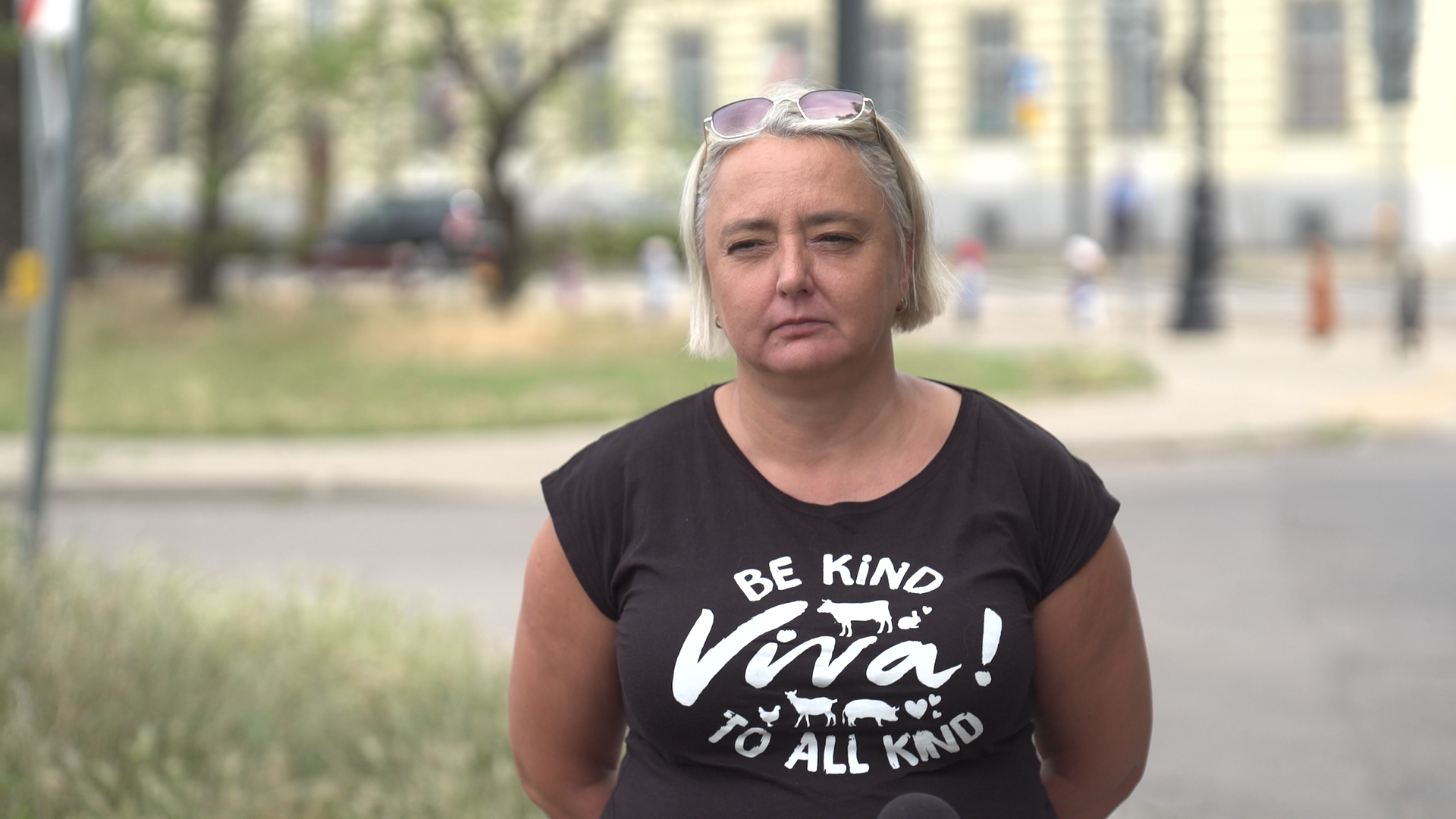 MRiRW i nadzór weterynaryjny: polski drób jest bezpieczny. Weterynarze zalecają jednak, żeby na razie nie karmić kotów surowym mięsem MRiRW i nadzór weterynaryjny: polski drób jest bezpieczny. Weterynarze zalecają jednak, żeby na razie nie karmić kotów surowym mięsem