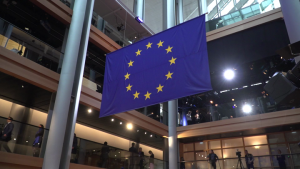Posiedzenie Parlamentu Europejskiego w Strasburgu 22.01.25 [PRZEBITKI] Strona główna