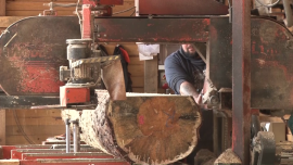Obróbka drewna w tartaku [przebitki] News powiązane z surowiec