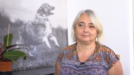Czipowanie pozwala o jedną czwartą zmniejszyć bezdomność psów i kotów. UE chce wprowadzić taki obowiązek