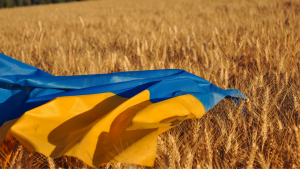 Czy Wspólna Polityka Rolna jest gotowa na Ukrainę? Najnowszy raport WEI i IER Biuro prasowe