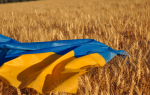 Czy Wspólna Polityka Rolna jest gotowa na Ukrainę? Najnowszy raport WEI i IER