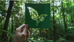 Nagrody pieniężne za elektroodpady – ogólnopolskie konkursy dla szkół i sołectw Biuro prasowe