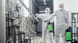 VACO i Rentokil łączą siły – fuzja na rynku usług pest control Biuro prasowe