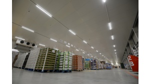 Jakie rozwiązania są przyszłością dla logistyki świeżych produktów?