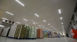 Jakie rozwiązania są przyszłością dla logistyki świeżych produktów?