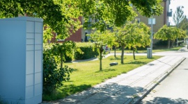 Zastosowanie aplikacji mobilnych. Nowe realia w czasach pandemii