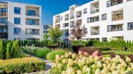 Grupa Dom Development z kwartalną sprzedażą na poziomie 1081 lokali