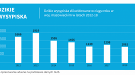 Dzikie wysypiska to prawdziwa plaga. Mazowsze tonie w śmieciach