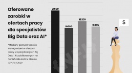 Specjaliści Business Intelligence najlepiej opłacani w IT