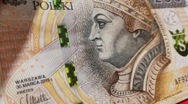 Czy polski budżet wytrzyma 800+?