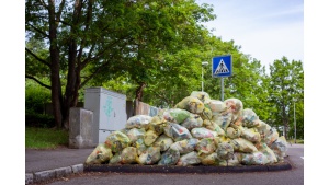 Marnotrawstwo żywności: jeden kg żywności to aż 4,5 kg dwutlenku węgla!