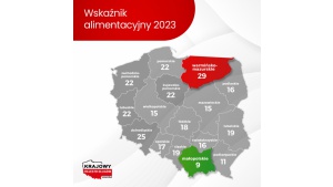 Dłużnicy alimentacyjni winni już 14,5 mld zł, dla większości to nie jedyny dług