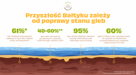 Dlaczego co roku zamykane są polskie plaże? Przyczyną może być zły stan gleb