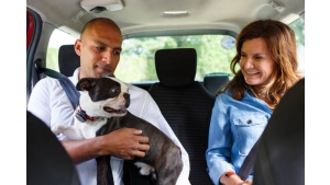 Uber wprowadza nowy produkt z myślą o zwierzętach - Uber Pets Biuro prasowe