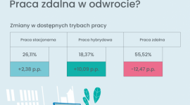 Pracodawcy IT zapraszają do biur – znaczny spadek ofert pracy zdalnej Biuro prasowe