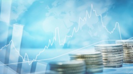 Ponad 60 mln zł zysku netto GK BEST po trzech kwartałach 2021 r.