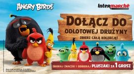 Angry Birds w Intermarché – nowa akcja lojalnościowa sieci