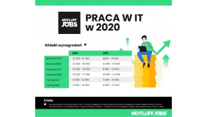 Podsumowanie roku 2020 w branży IT - wzrost wynagrodzeń