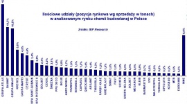 V rok wzrostu rynku chemii budowlanej