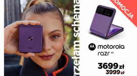 Motorola razr 40 w letniej promocji za 3699 zł