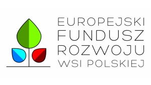 Preferencyjne pożyczki dla samorządów na inwestycje