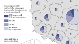 Trend: nie kupuj auta – wynajmij i używaj