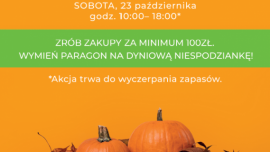 Dyniomania w ETC Swarzędz
