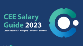 [Raport] Zarobki polskich specjalistów IT na tle Europy Środkowo-Wschodniej