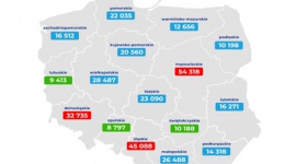Gdzie w Polsce najczęściej dochodzi do wypadków i kolizji drogowych?