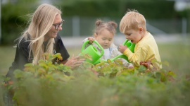 Sieć Norlandia Przedszkola - tworzymy lepszą przyszłość naszym dzieciom! Biuro prasowe