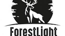 Forestlight Games S.A. rozważy przeprowadzenie emisji akcji przed debiutem