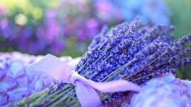 EPI-BOHATEROWIE 2023 – epileptycy żyją pełnią życia