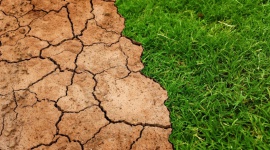 Światowy Dzień Ziemi. Każdy z nas może zadbać o środowisko naturalne