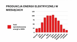 Dlaczego inwestycja w OZE jest opłacalna? Zobacz, ile możesz zaoszczędzić