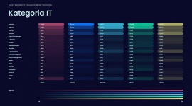 Backend najpopularniejszy w branży IT w Europie Środkowo-Wschodniej - raport