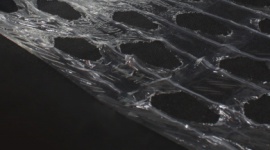 Nowy podatek od plastiku – rozwiązaniem ekologiczne folie