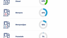 Polacy ze sceptycznym podejściem do elektryków - analiza rankomat.pl