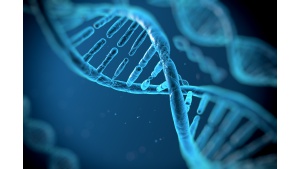 Pangenom, czyli o przełomie w nauce o DNA