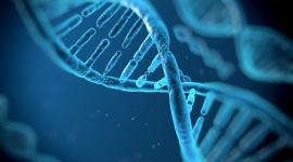 Pangenom, czyli o przełomie w nauce o DNA