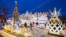 Przed Wola Parkiem rozbłysła magiczna zimowa iluminacja z… ananasem w tle