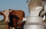 Kolejny krok ku produkcji mleka A2A2 w Polsce. Trzecia edycja projektu. Strona główna