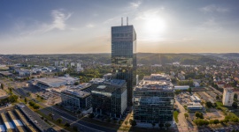 Ryby, gry i nasiona w centrach biznesowych? A jakże!