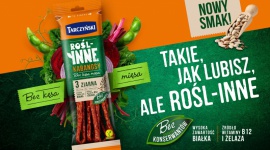 Kabanosy 3 ziarna – nowy roślinny produkt od marki Tarczyński