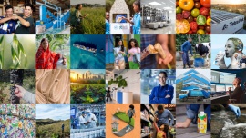 Tetra Pak redukuje emisje GHG w całym łańcuchu wartości o 20%