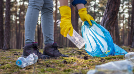 Dzień bez Śmiecenia – codzienne, małe kroki prowadzą do korzystnych zmian Biuro prasowe