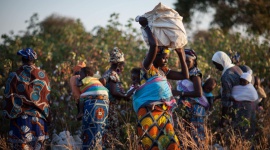 Bawełna Fairtrade na Dzień Dziecka