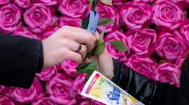 Silan Ylang Ylang&Vetiver Scent – wyjątkowy zapach i jakość w służbie środowisku