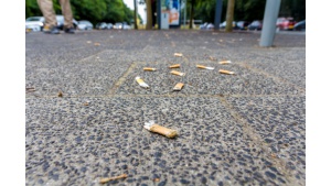 Miasta toną w niedopałkach Biuro prasowe